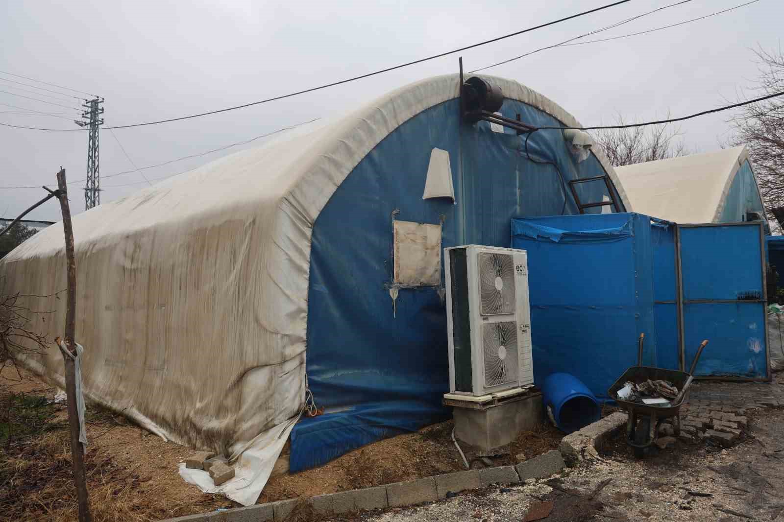 Mantar üreticiliğine ilk adımı ahırda attı, varını yoğunu satıp kurduğu 3 çadırda mantar üretiyor
Mantar üreticiliğine ilk adımı ahırda attı, varını yoğunu satıp kurduğu 3 çadırda mantar üretiyor