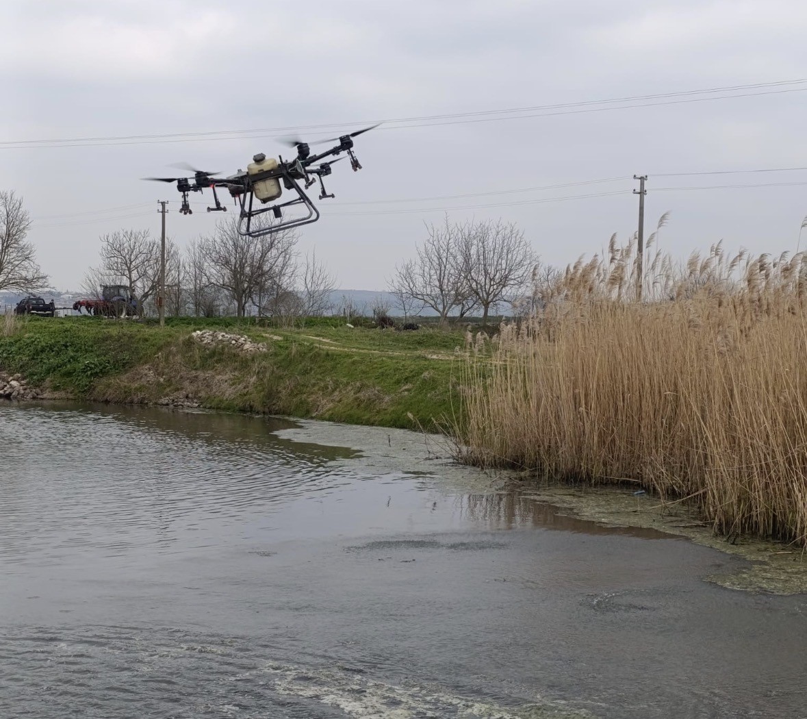 Manyas’ta sivrisinek ile mücadele seferberliği
