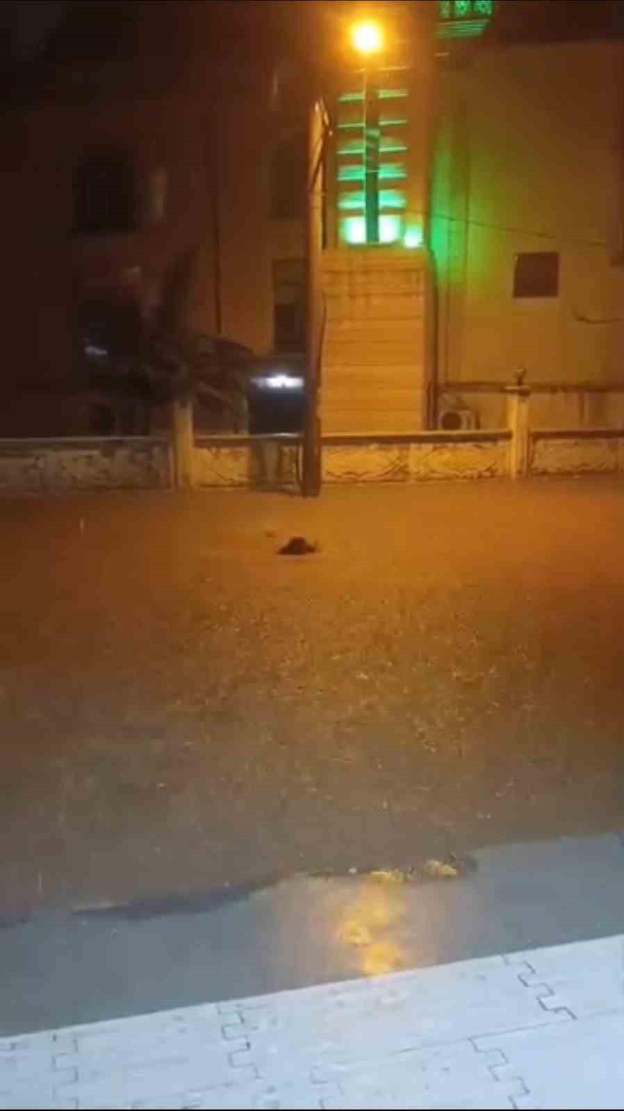 Mardin’de bazı ev ve işyerlerini su bastı
