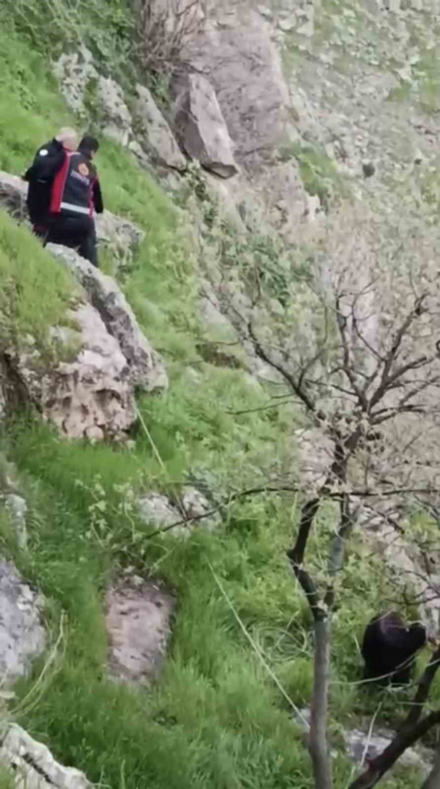 Mardin’de mahsur kalan keçileri itfaiye kurtardı
