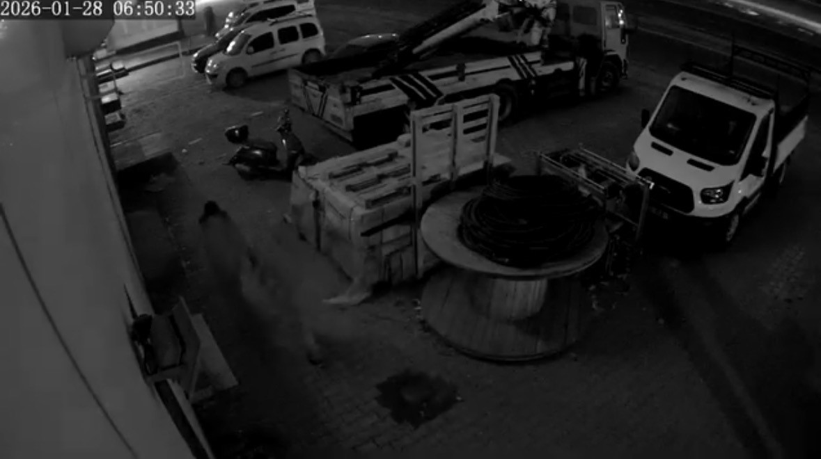 Mardin’de motosiklet hırsızlığı kamerada
