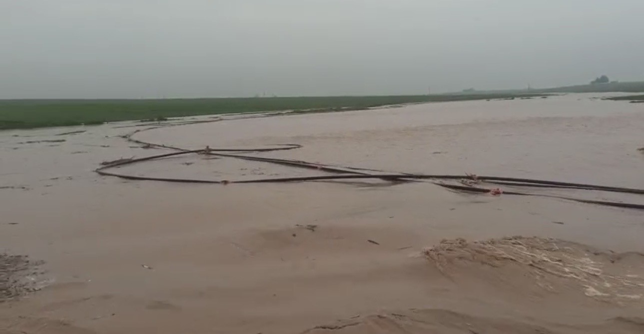 Mardin’de sağanak hayatı felç etti: Dereler taştı, ahır çöktü
