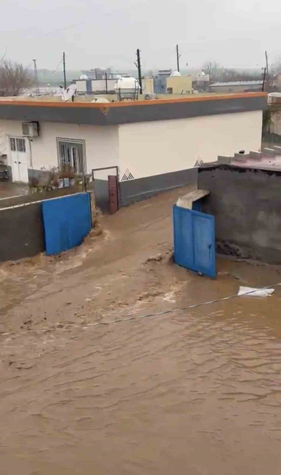 Mardin’de sağanak hayatı felç etti: Dereler taştı, ahır çöktü
