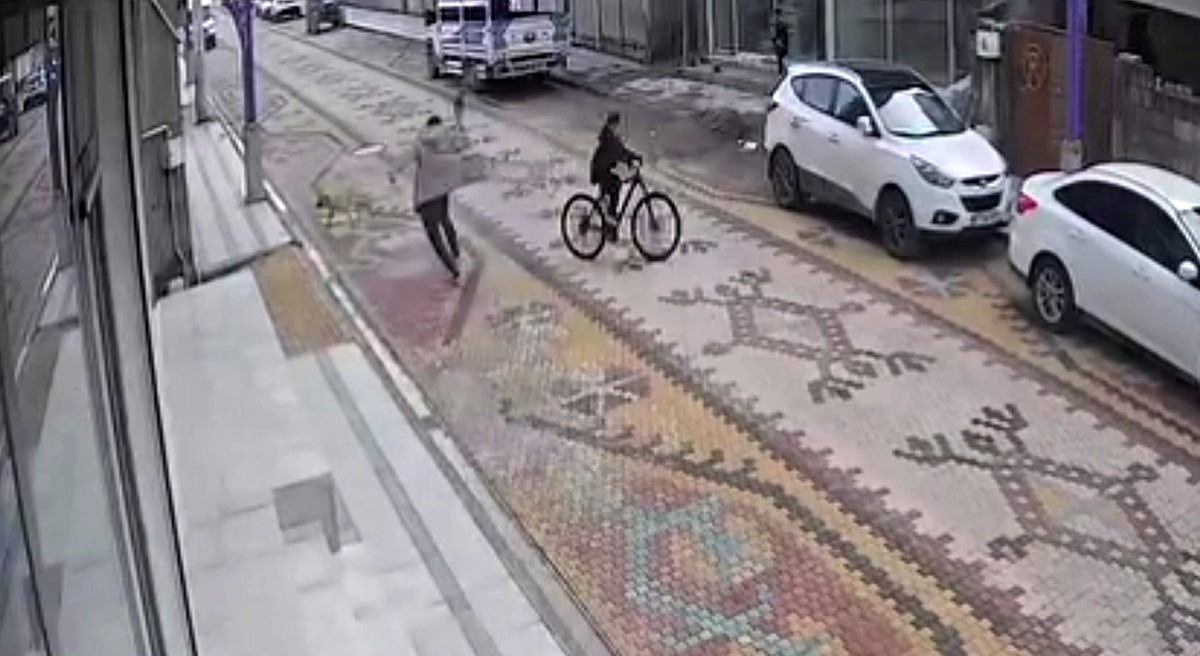 Mardin’de sokak köpeklerinin saldırdığı çocuğu esnaf kurtardı
