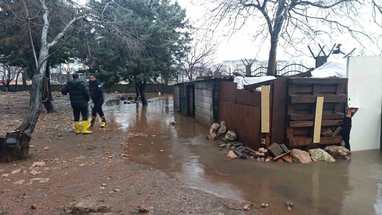 Mardin’de su basan kümeste 5 tavuk telef oldu
