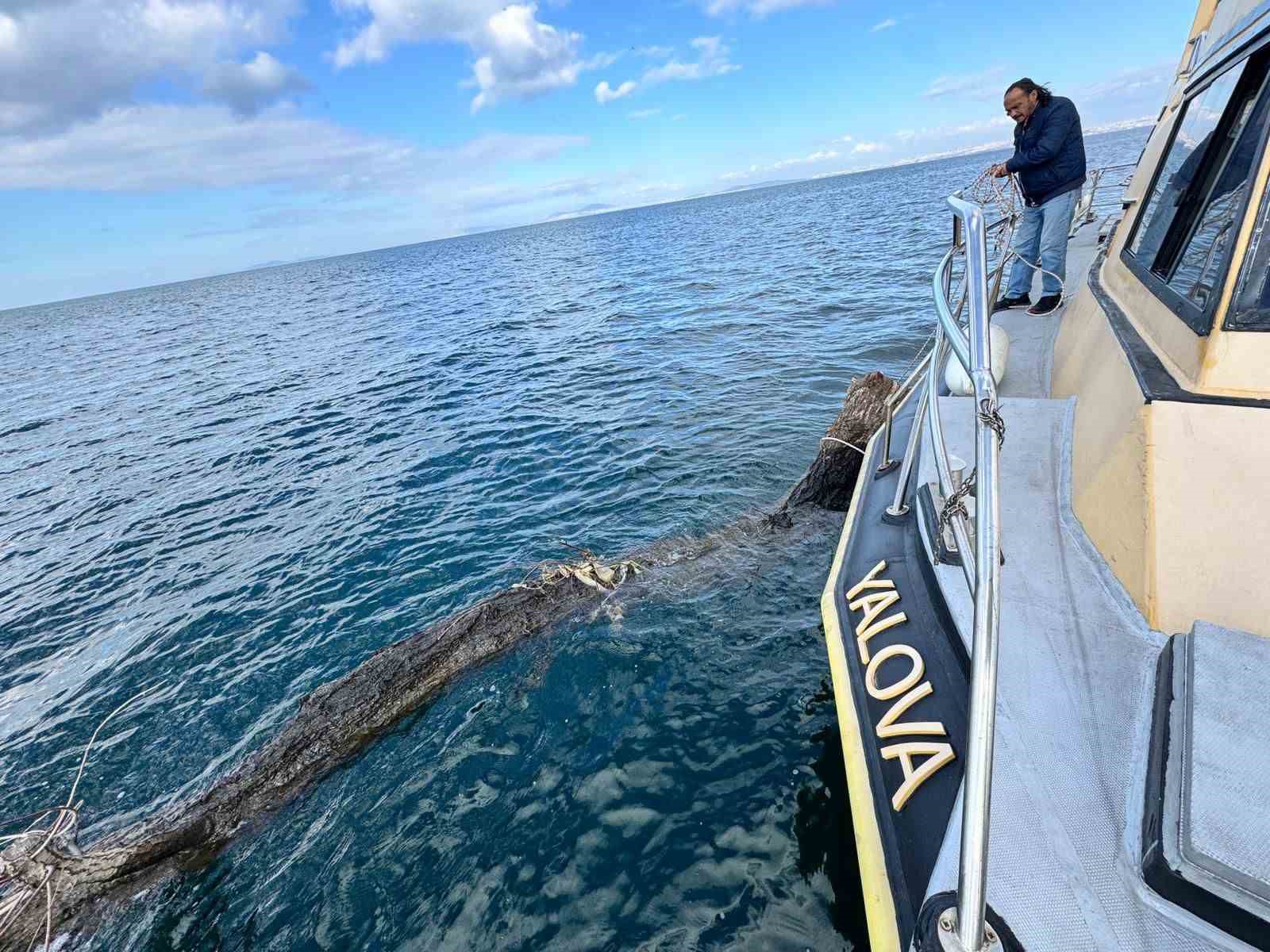 Marmara Denizi’nde feribot trafiği için tehlike oluşturan yüzen ağaç kıyıya çekildi

