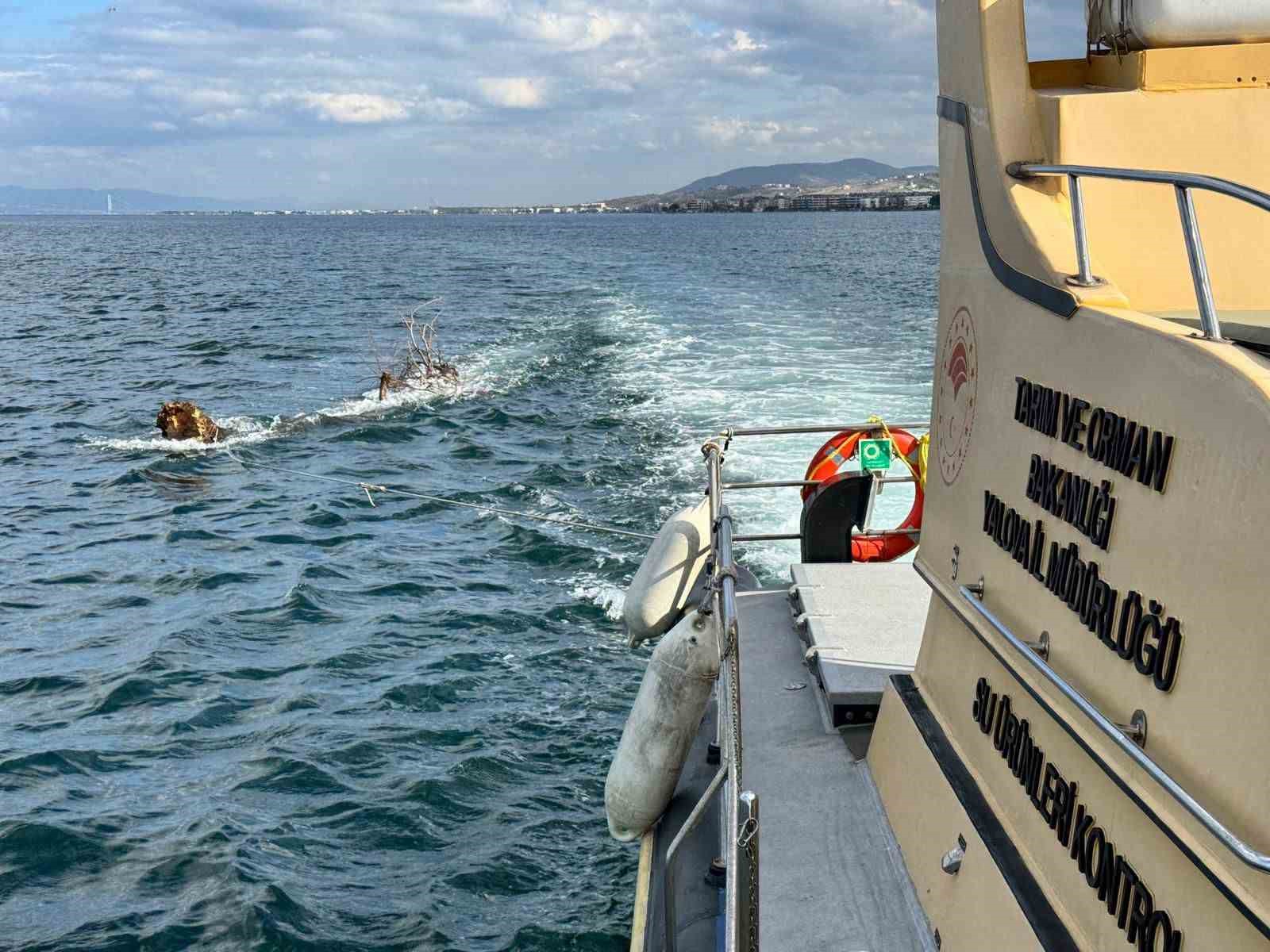 Marmara Denizi’nde feribot trafiği için tehlike oluşturan yüzen ağaç kıyıya çekildi
