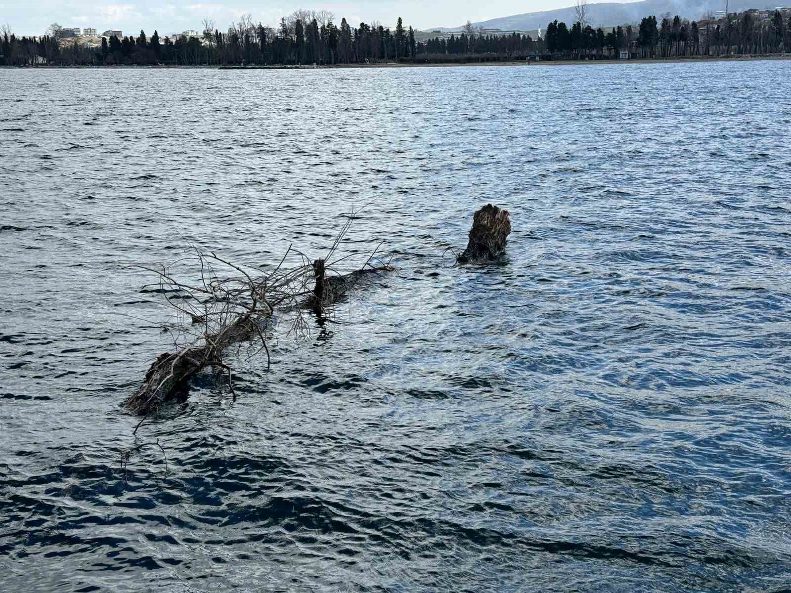 Marmara Denizi’nde feribot trafiği için tehlike oluşturan yüzen ağaç kıyıya çekildi
