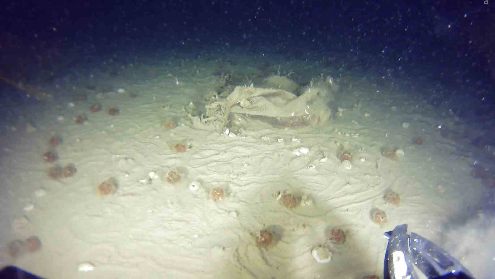 Marmara Denizi’ne 51 yıl önce düşen THY uçağına ait yeni izler bulundu
