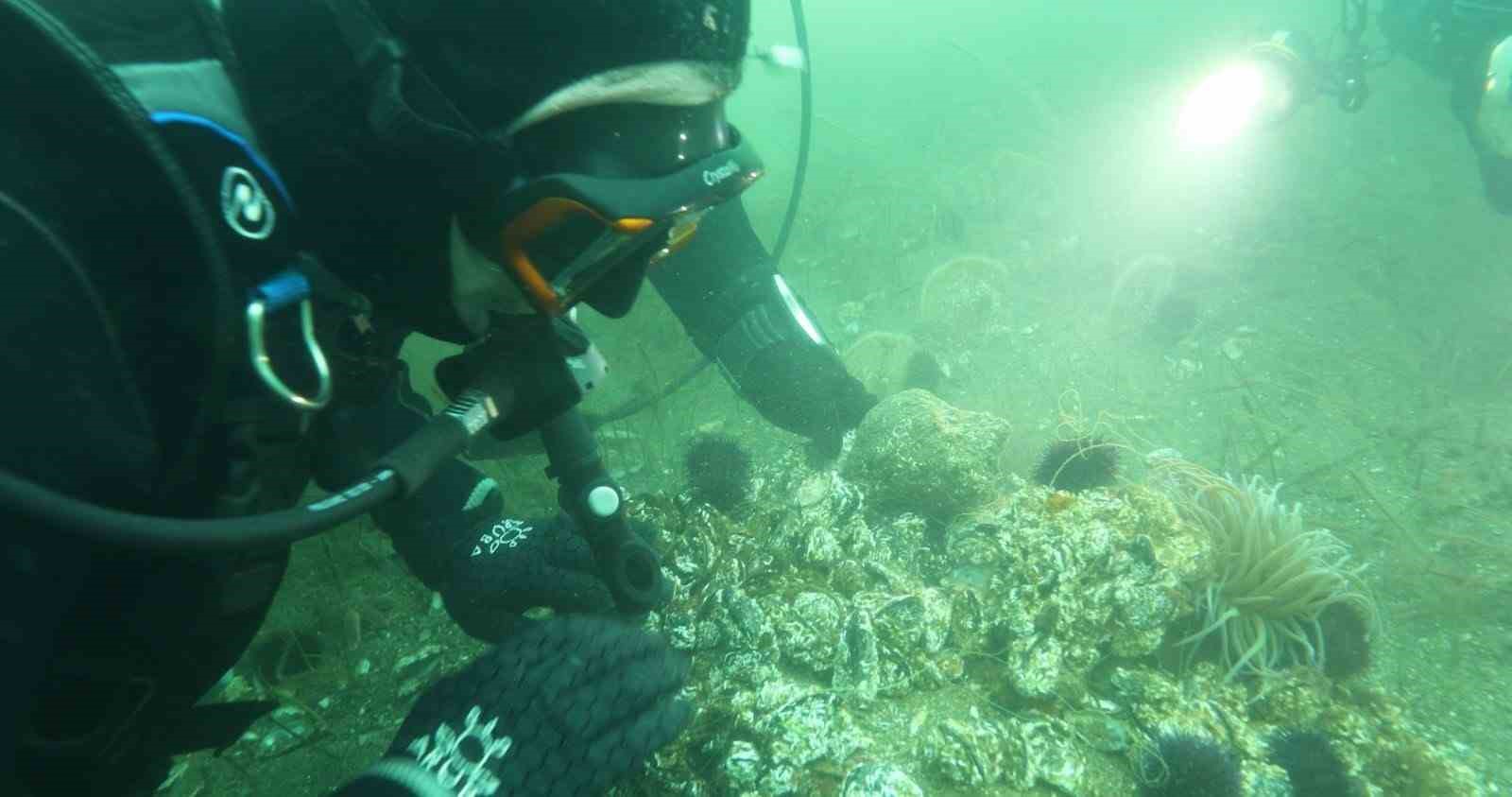 Marmara Denizi’ne kıyı kentlerin Belediye Başkanlarına dalış çağrı
Marmara Denizi’ne kıyı kentlerin Belediye Başkanlarına dalış çağrı