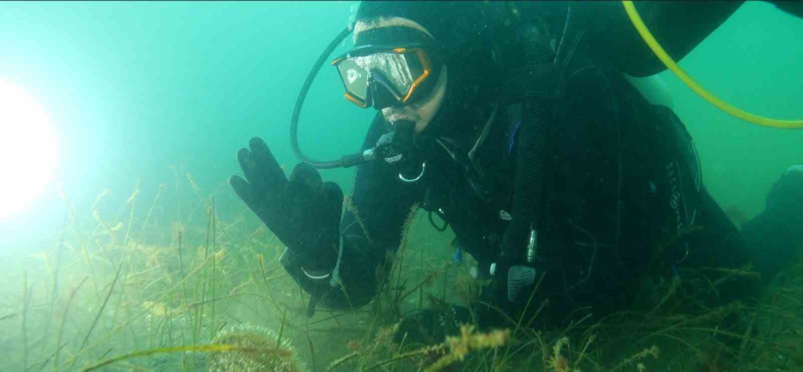 Marmara Denizi’ne kıyı kentlerin Belediye Başkanlarına dalış çağrı
Marmara Denizi’ne kıyı kentlerin Belediye Başkanlarına dalış çağrı