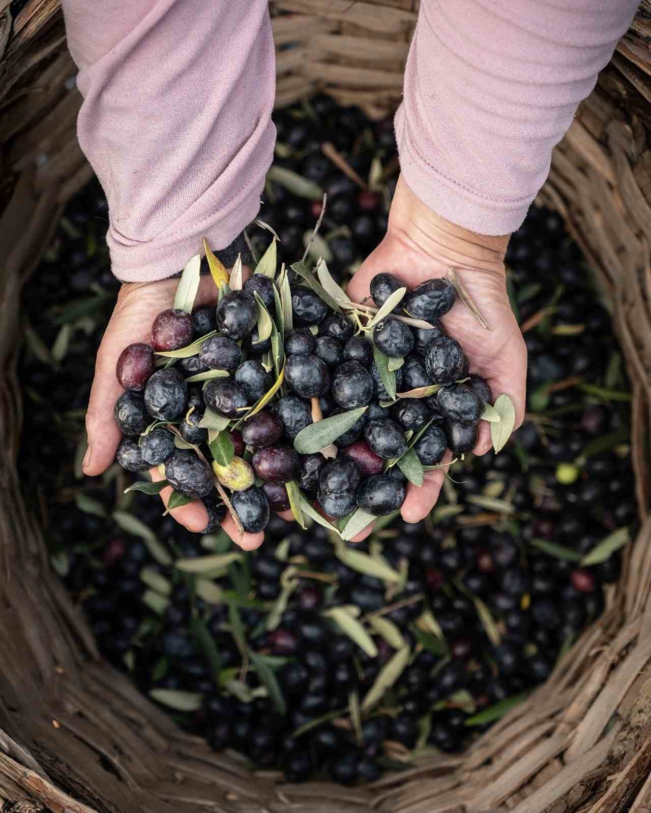 Marmarabirlik’ten 2025’te güçlü ve stratejik büyüme
