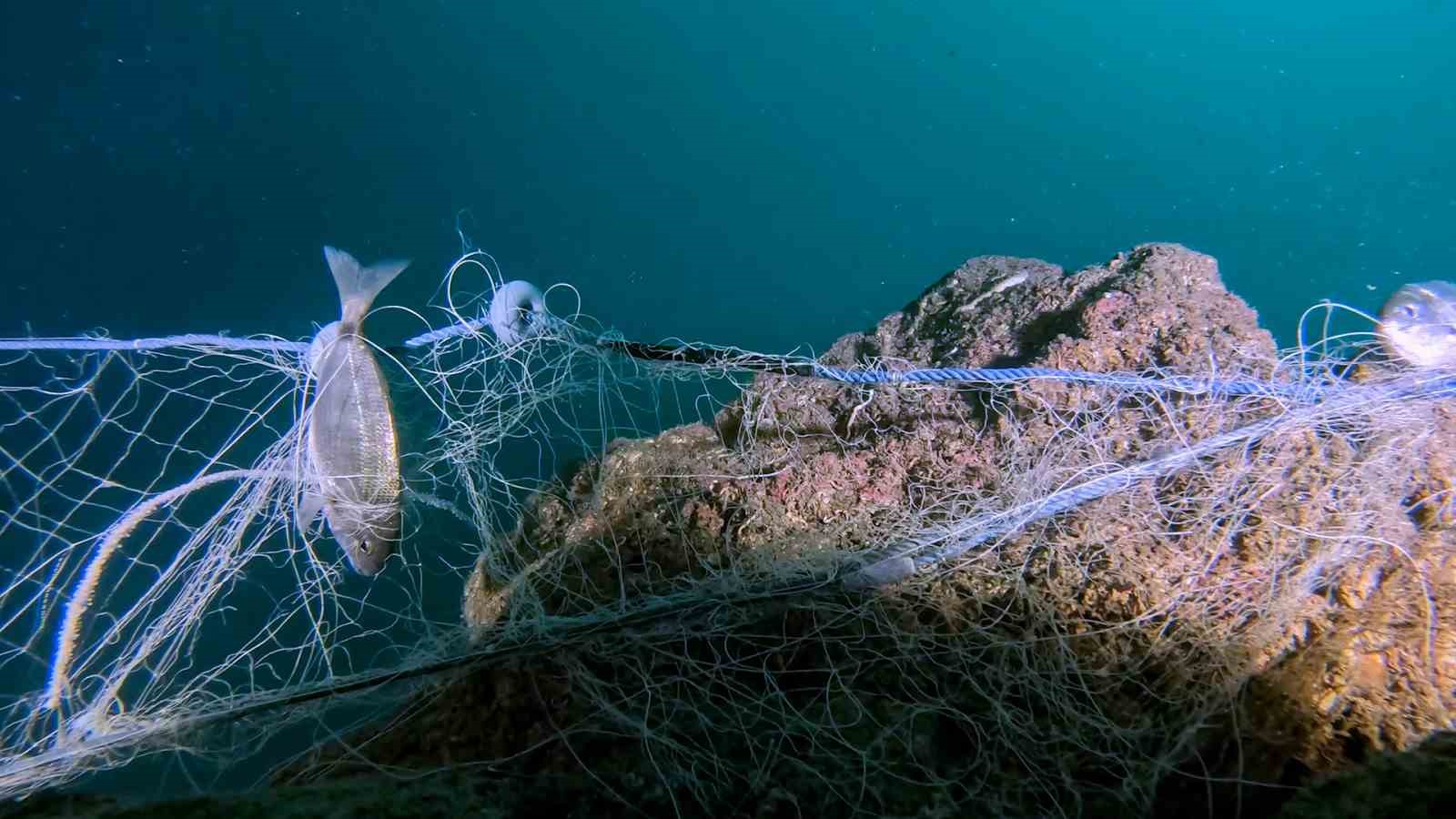 Marmara’nın derinliklerindeki "Hayalet Ağ" tehdidine sanat dokunuşu: Çıkarılan ağlar sanat eserine dönüştü
