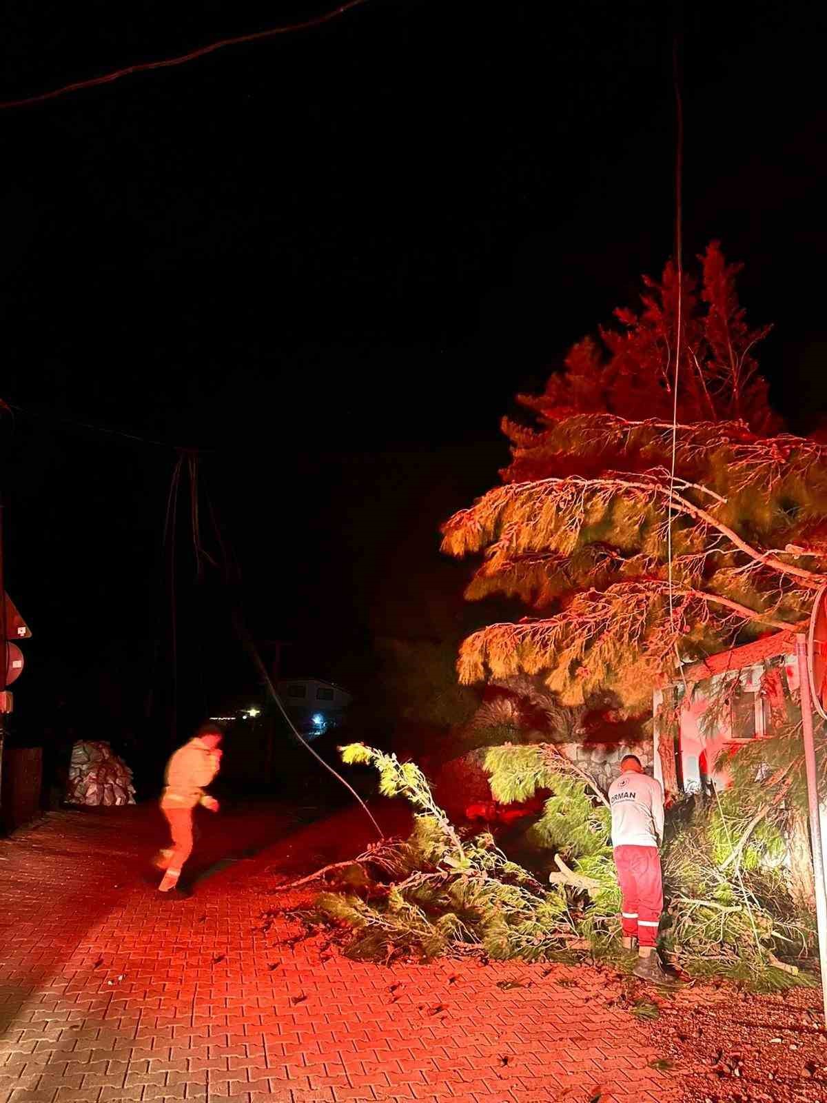 Marmaris’te fırtına ağaç devirdi: 1 kişi yaralandı
