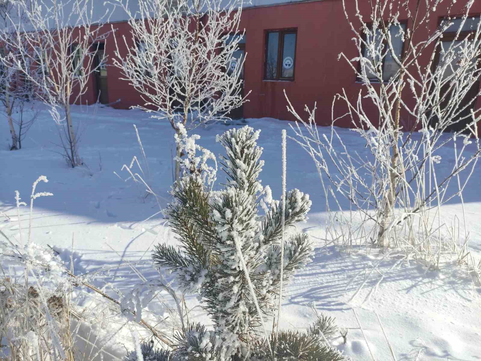 Mart ayında dondurucu soğuklar
