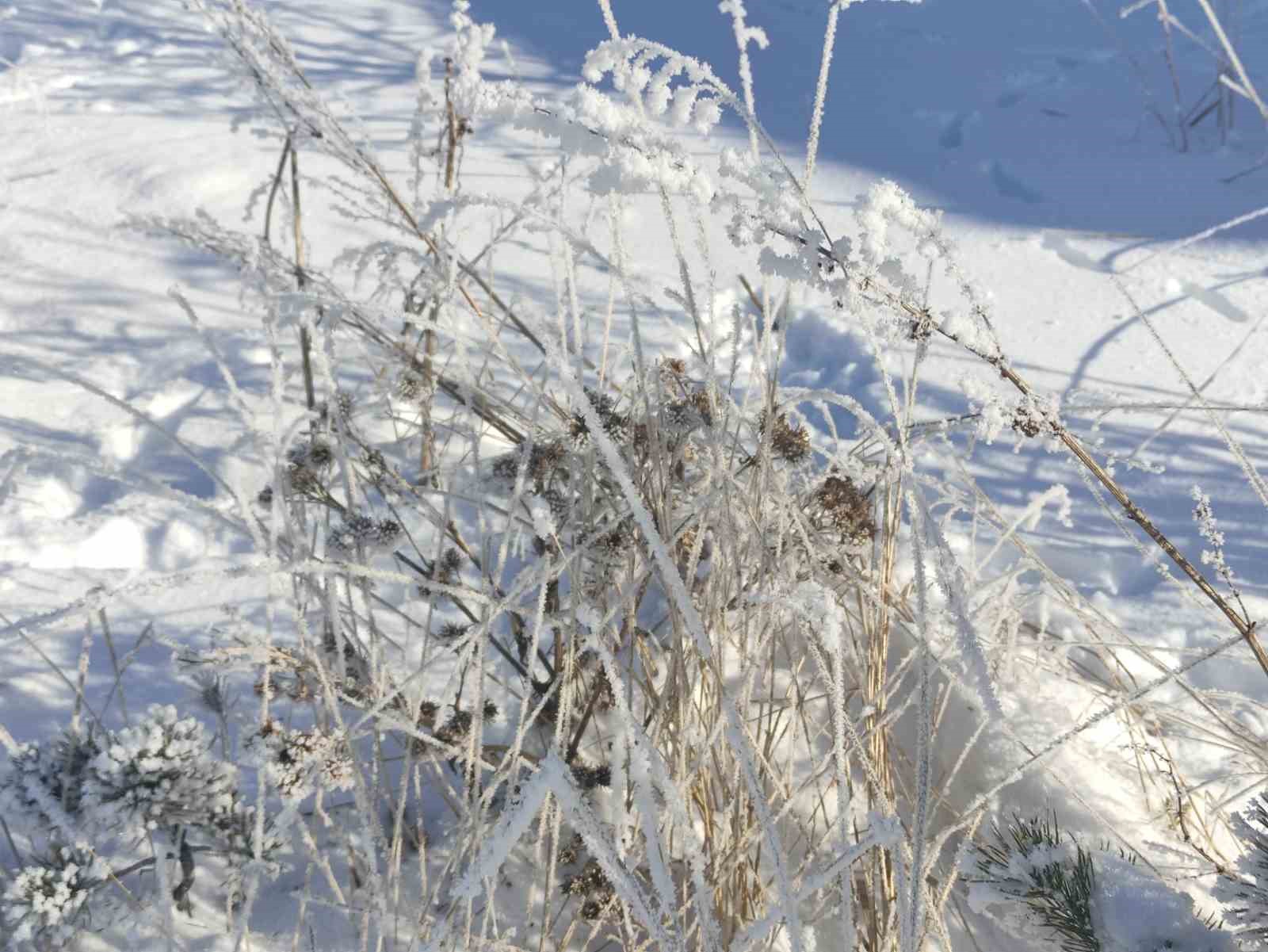 Mart ayında dondurucu soğuklar
