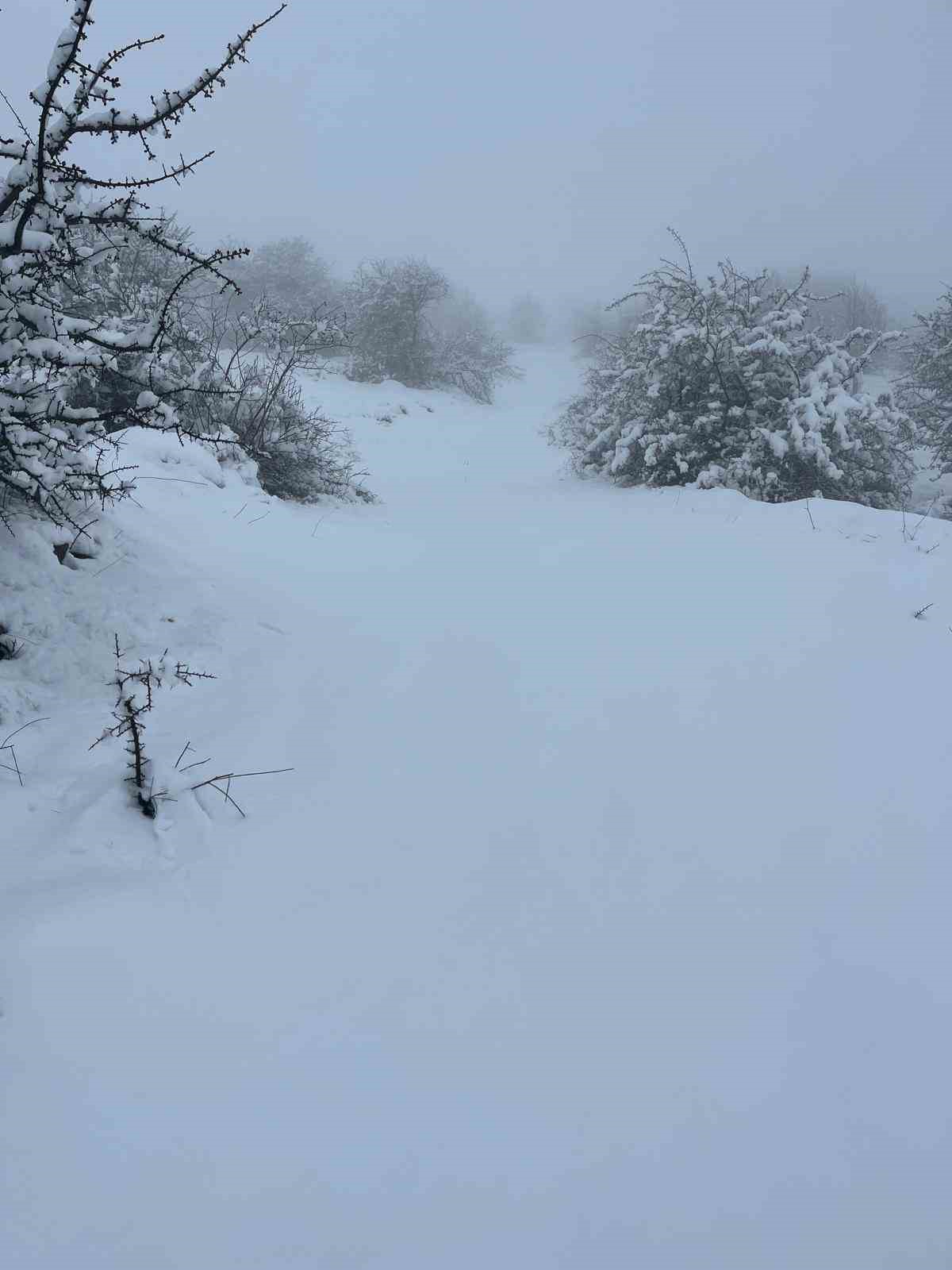 Mart sonunda Karıncalı Dağ’da kar sürprizi
