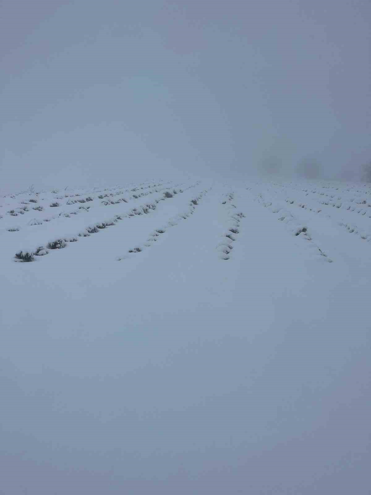 Mart sonunda Karıncalı Dağ’da kar sürprizi
