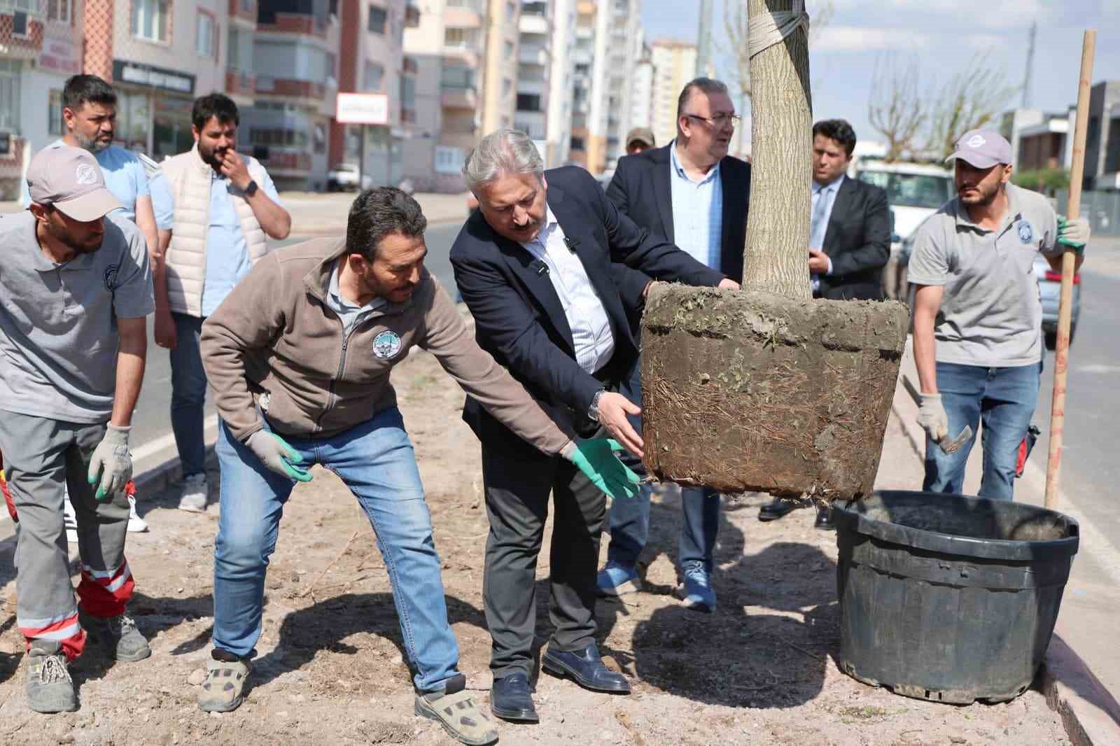 Melikgazi, ağaçlandırma çalışmaları ile geleceğe daha yeşil bir miras bırakıyor

