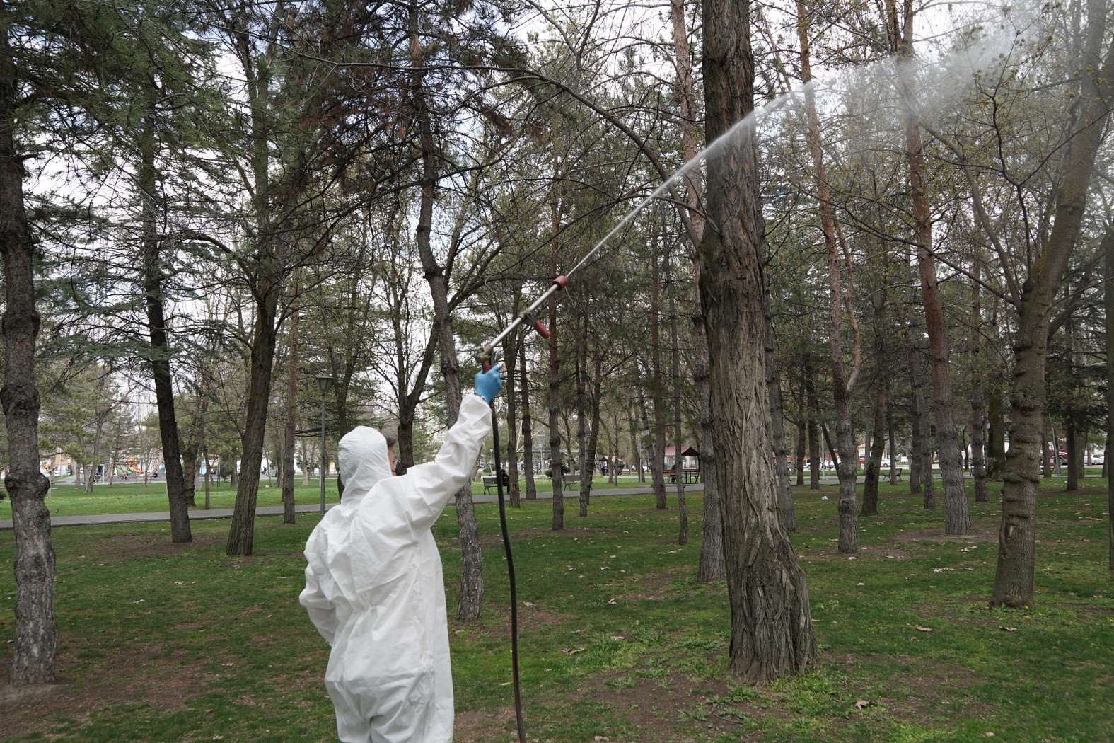 Melikgazi’de haşeresiz ve sivrisineksiz bir yaz için ilaçlama yapıldı
