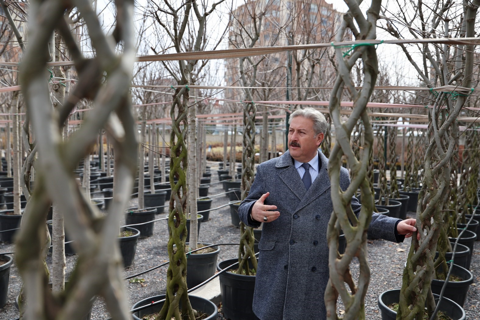Melikgazi’de ilkbahar ağaç dikimiyle başladı
