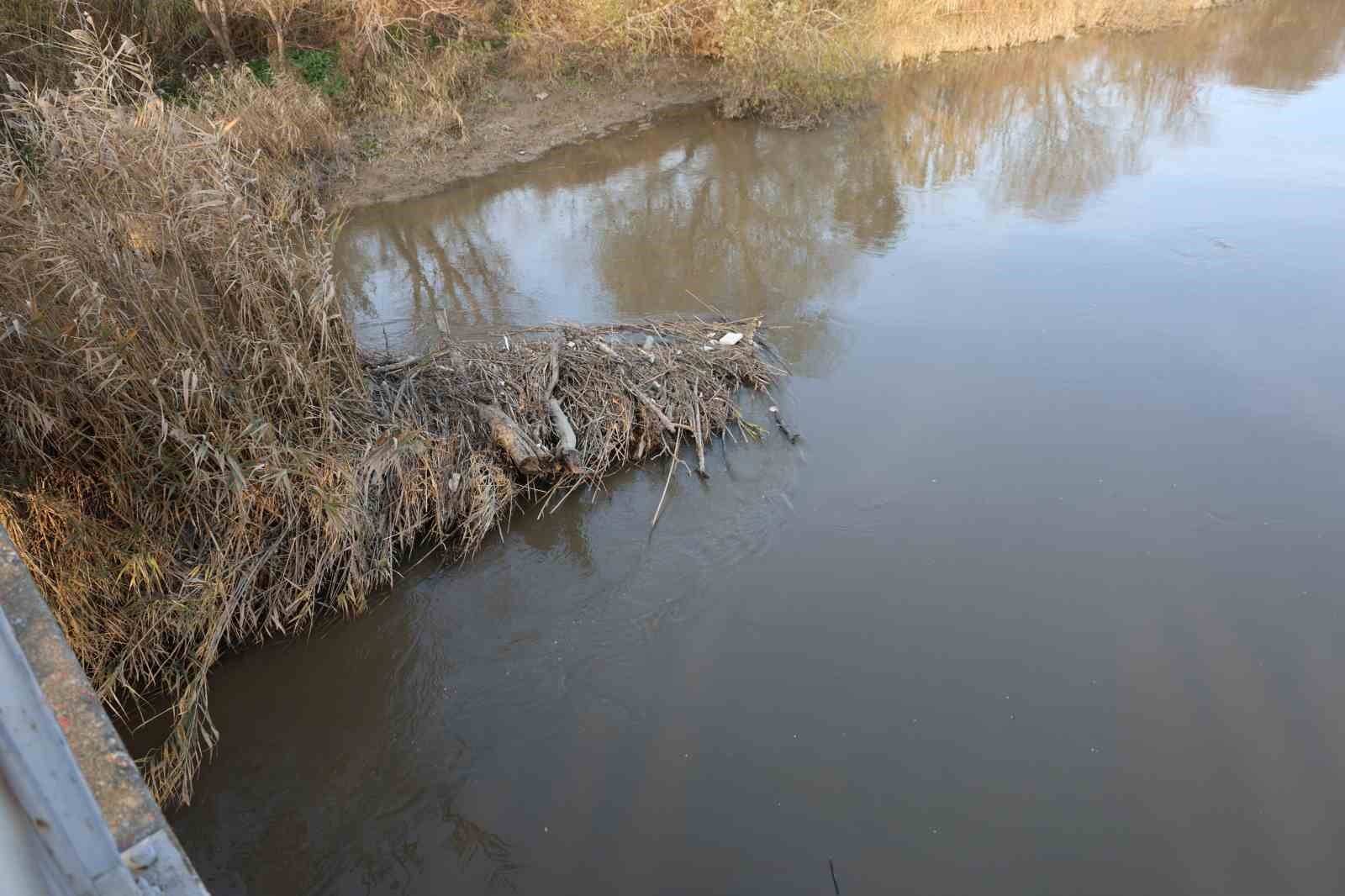 Menderes Nehri suya kavuştu
