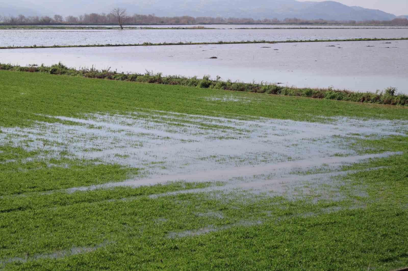 Menderes taştı, yüzlerce dönüm sular altında kaldı
