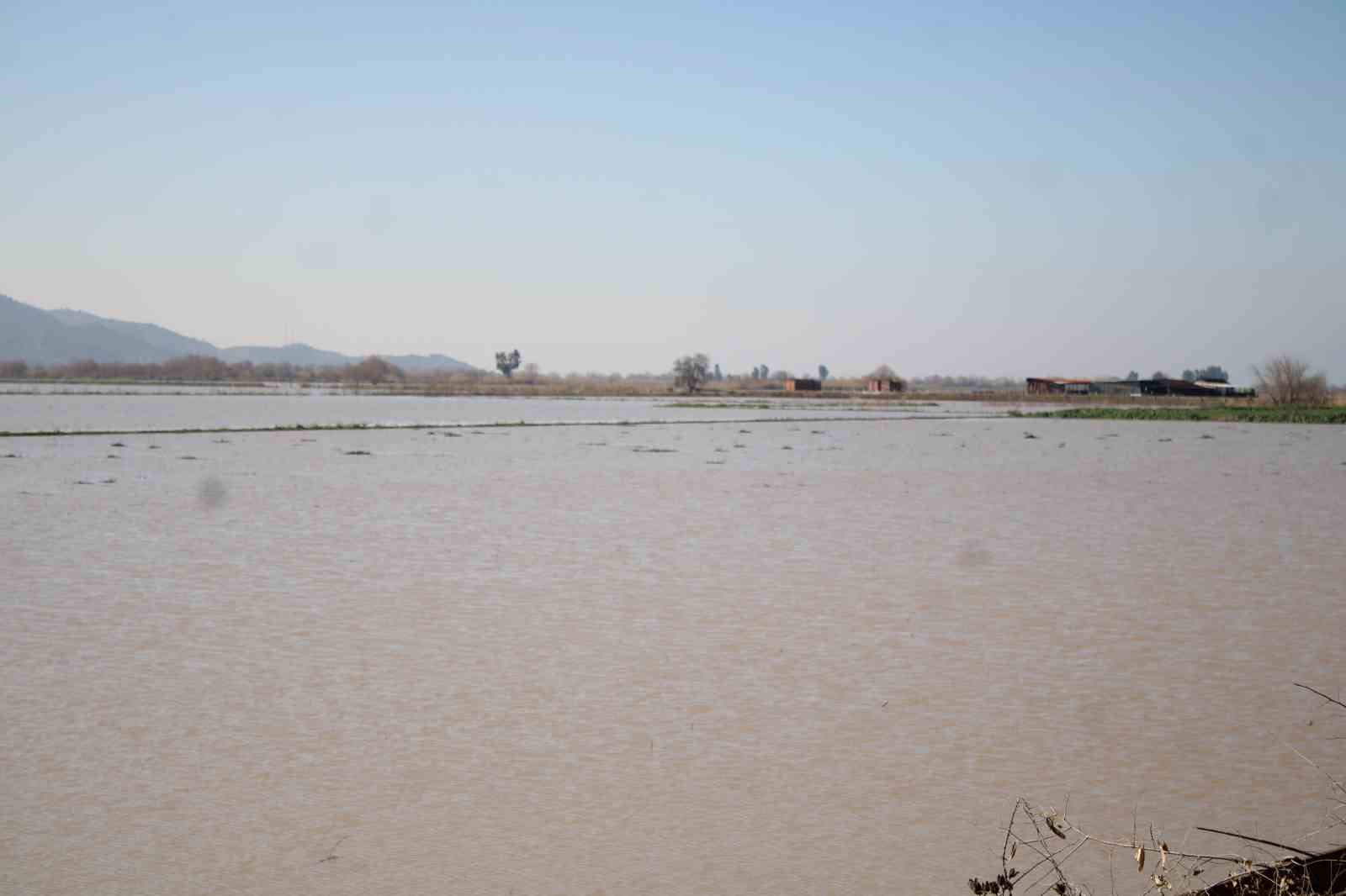 Menderes taştı, yüzlerce dönüm sular altında kaldı

