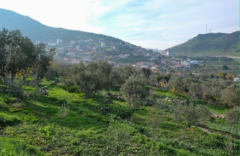 Menemen Belediyesinden tarıma can suyu
Menemen Belediyesinden tarıma can suyu