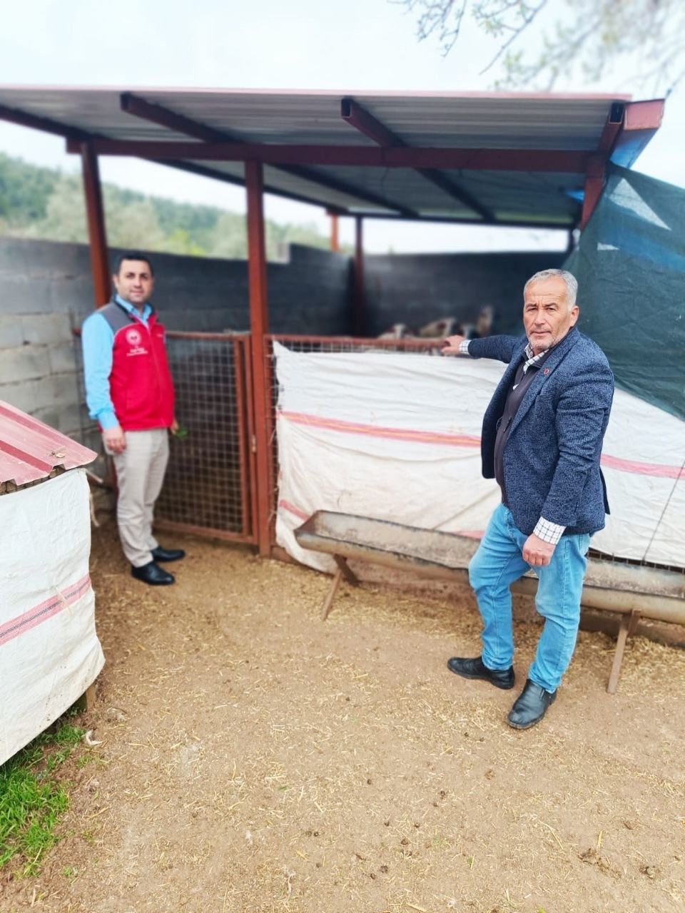 Menteşe’de çiftçiye uygulamalı eğitim
