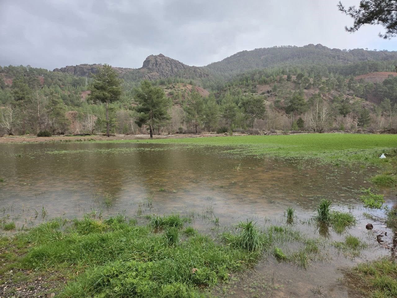 Menteşe’de sağanak yağışların ardından tarım arazilerinde hasar tespit çalışmaları başladı
