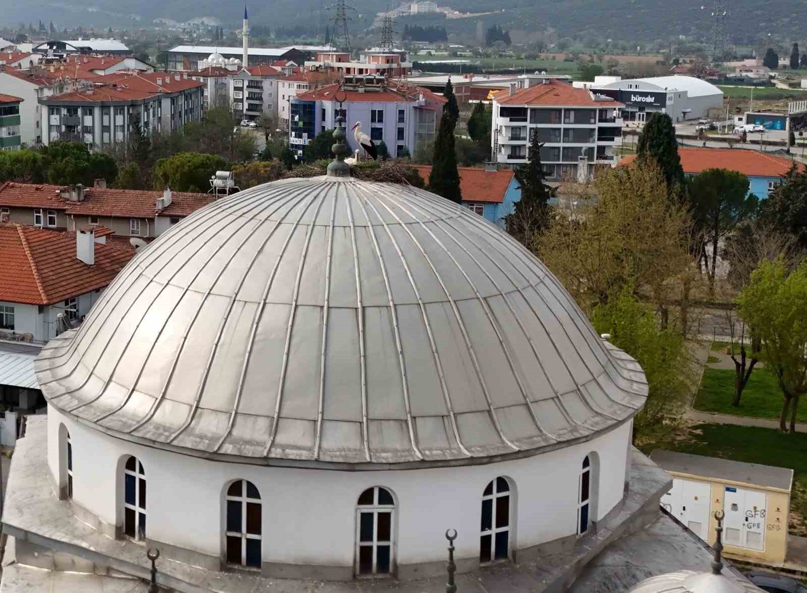 Menteşe’nin sadık misafirleri geldi, 30 yıllık gelenek bozulmadı
Menteşe’nin sadık misafirleri geldi, 30 yıllık gelenek bozulmadı