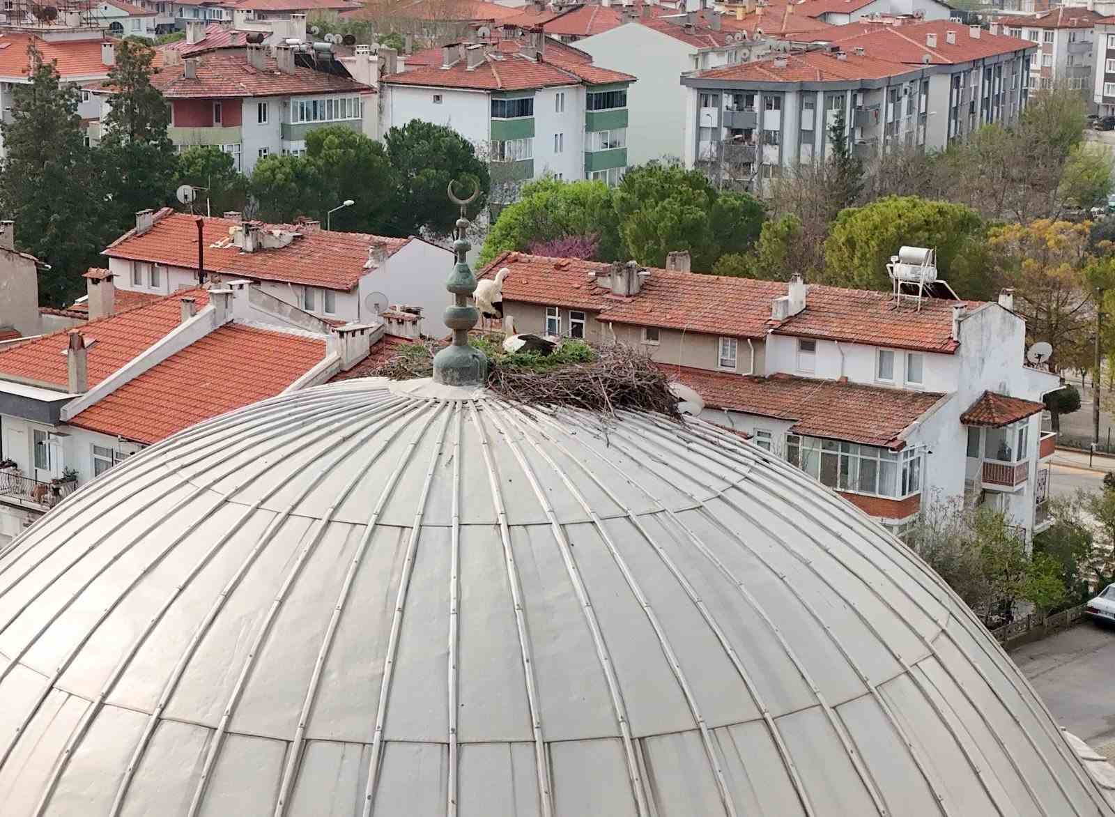 Menteşe’nin sadık misafirleri geldi, 30 yıllık gelenek bozulmadı
Menteşe’nin sadık misafirleri geldi, 30 yıllık gelenek bozulmadı