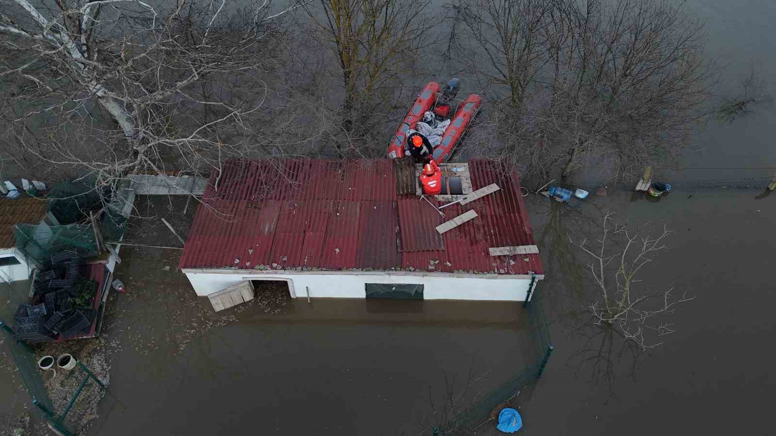 Meriç Nehri taştı; hayvanlar tahliye edildi, çiftçi malını kurtardı
