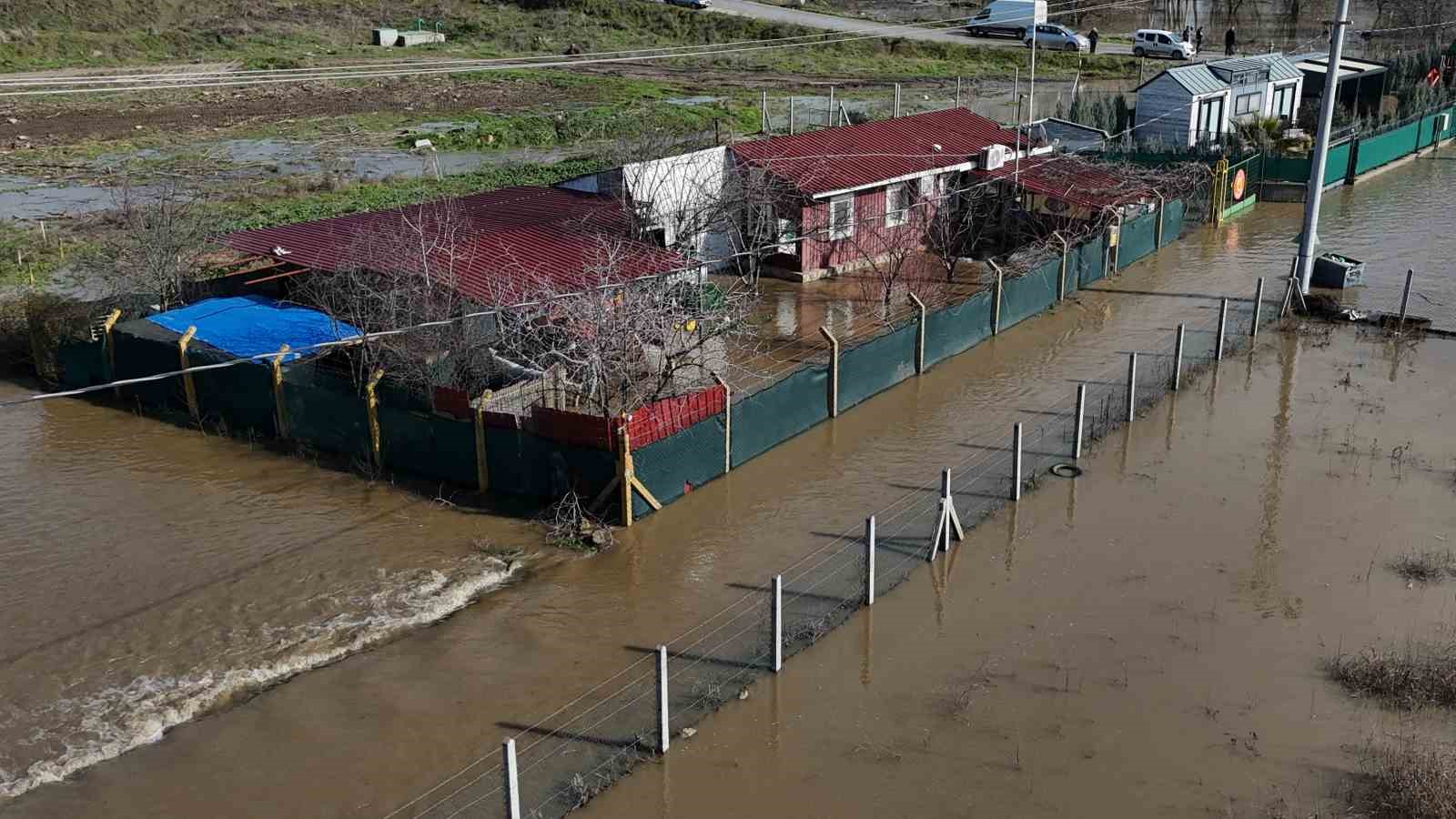 Meriç Nehri taştı; hayvanlar tahliye edildi, çiftçi malını kurtardı
