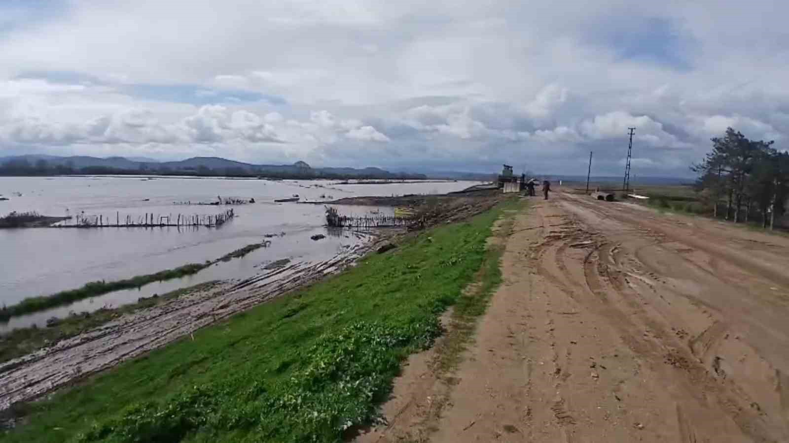Meriç Nehri taştı, sular yollara ulaştı
