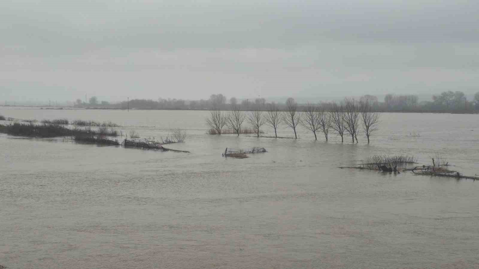 Meriç Nehri’nden taşan sular yaşam alanlarına kadar ulaştı
