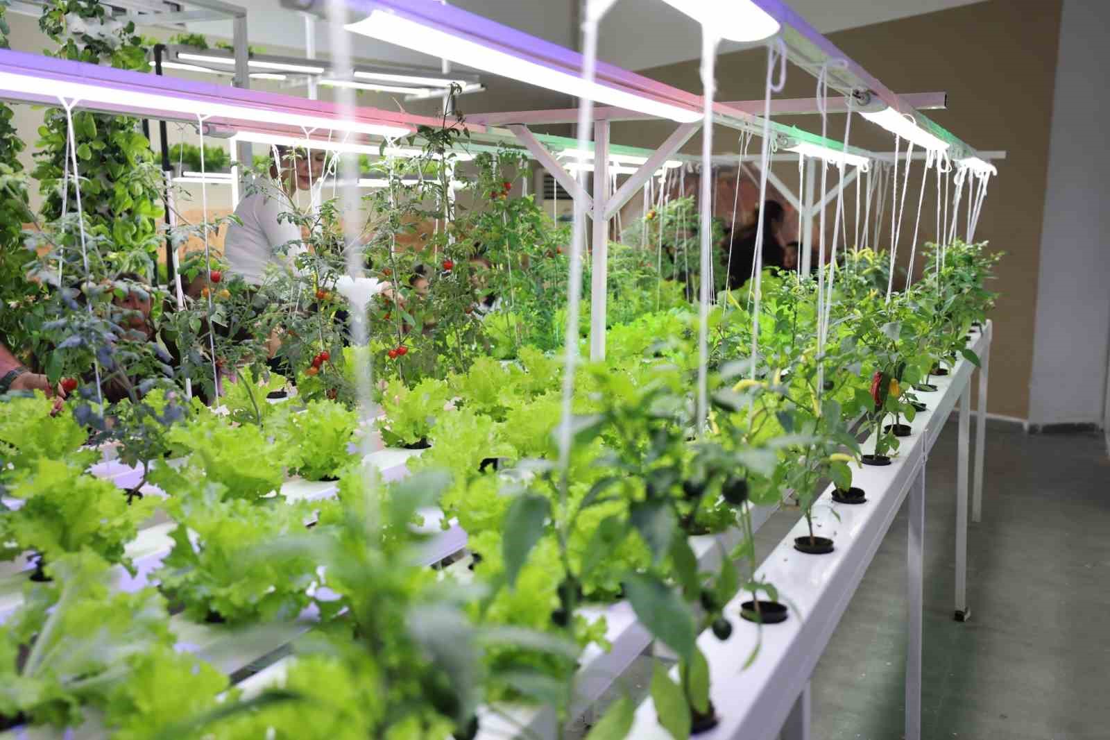 Merkezefendi Atatürk Bilim Merkezine minik öğrenciler ziyaret etti
