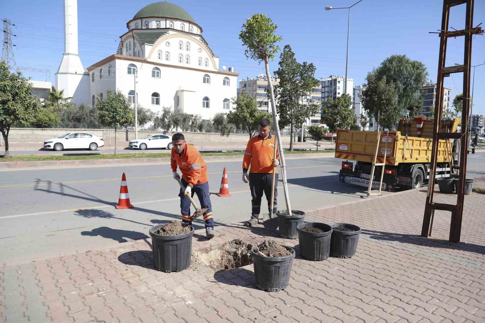 Mersin’de ağaçlandırma seferberliği başladı
Mersin’de ağaçlandırma seferberliği başladı