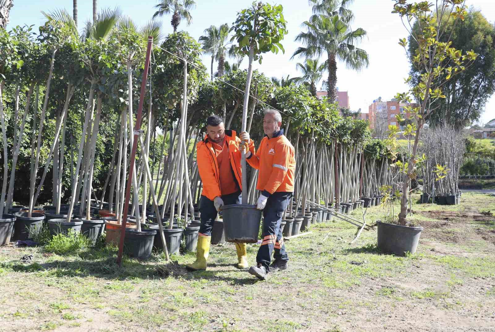 Mersin’de ağaçlandırma seferberliği başladı
Mersin’de ağaçlandırma seferberliği başladı