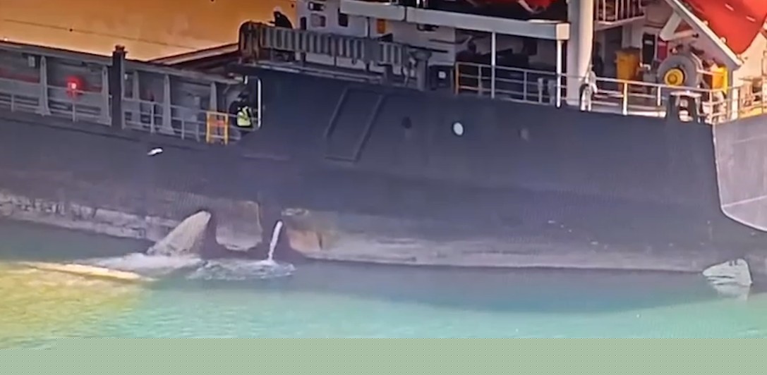 Mersin’de denizi kirleten gemiye 13 milyon TL ceza kesildi, gemi rıhtıma bağlandı
