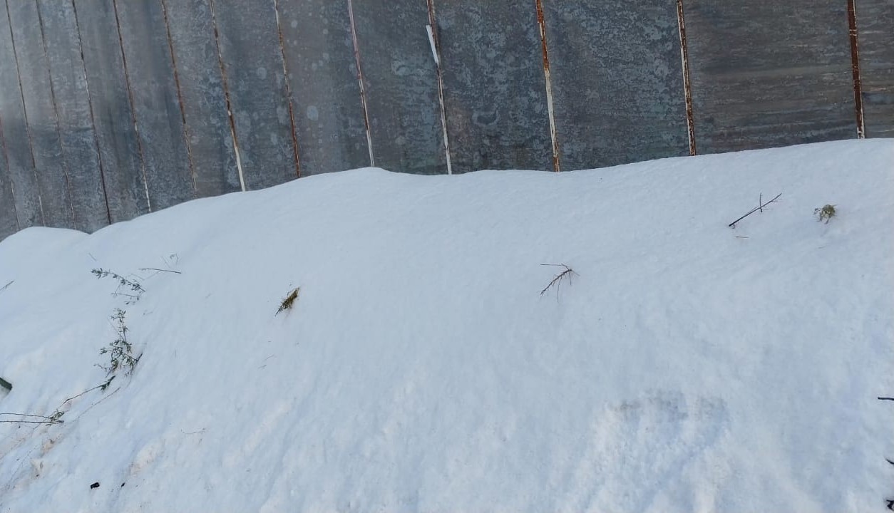 Mersin’de dolu sera çökertti, bahçelere zarar verdi

