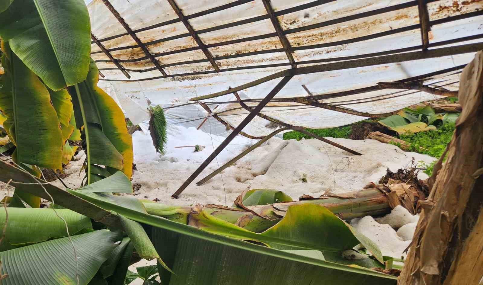 Mersin’de dolu sera çökertti, bahçelere zarar verdi
