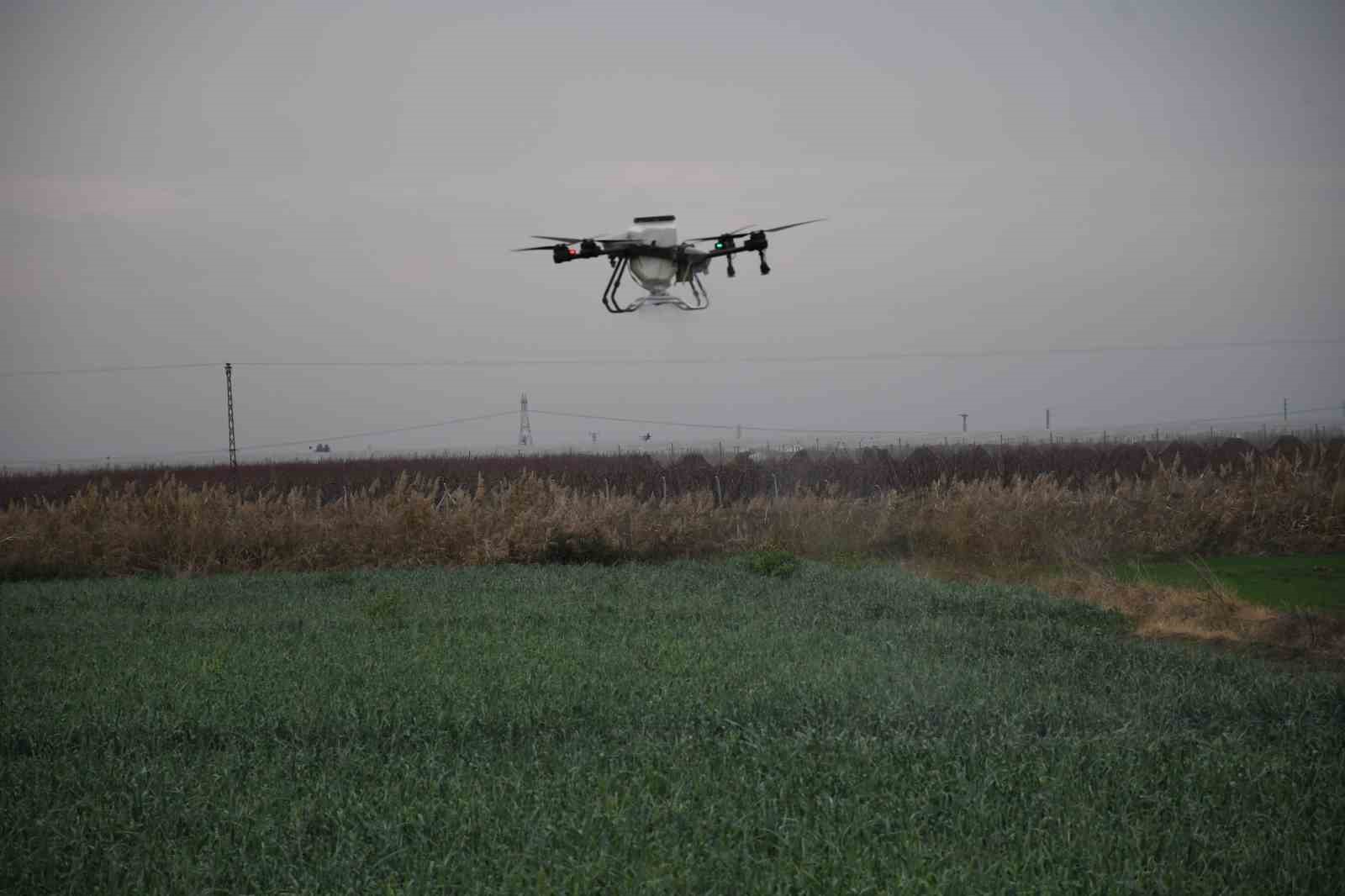 Mersin’de dronla gübreleme ve ilaçlama çiftçinin zayiatını sıfıra indirdi, zamandan tasarruf sağladı
