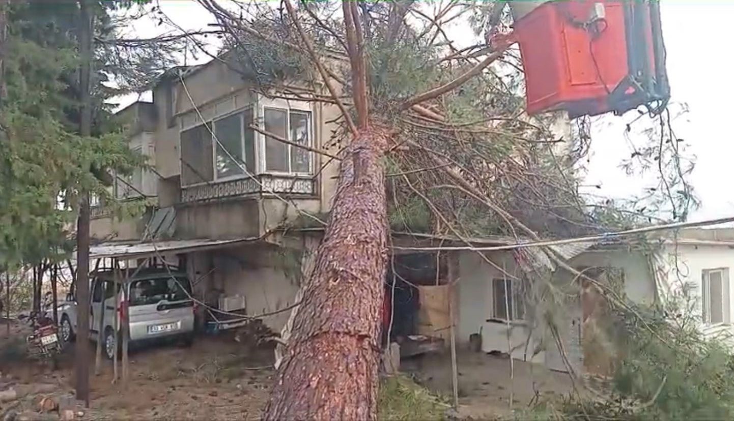 Mersin’de fırtına etkili oluyor: Ağaç evin üzerine devrildi

