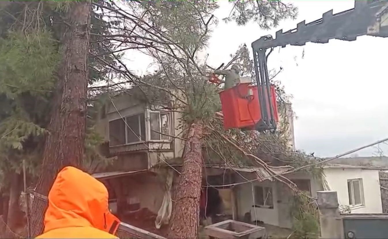 Mersin’de fırtına etkili oluyor: Ağaç evin üzerine devrildi

