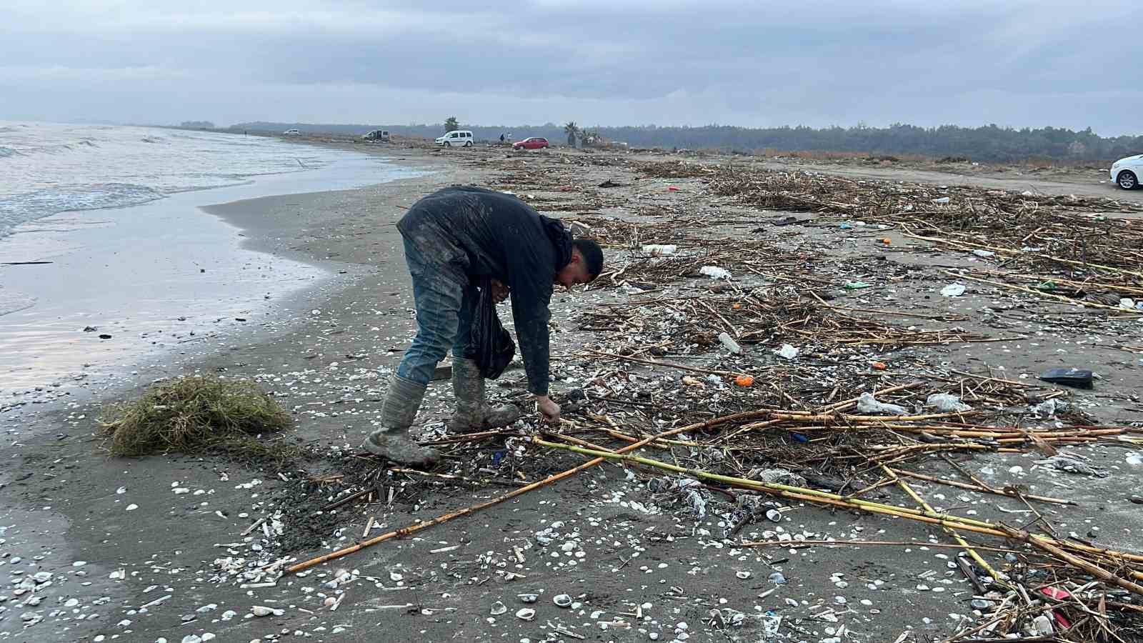 Mersin’de fırtına sonrası binlerce kargı midyesi sahile vurdu: Balıkçılar tek tek topladı
Mersin’de fırtına sonrası binlerce kargı midyesi sahile vurdu: Balıkçılar tek tek topladı