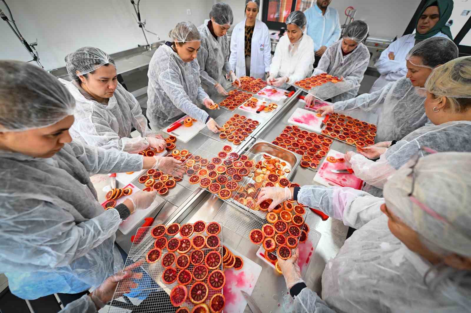 Mersin’de kan portakalı kadınların elinde değer kazanıyor
Mersin’de kan portakalı kadınların elinde değer kazanıyor