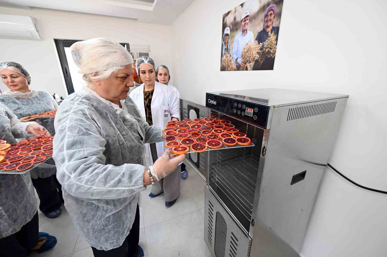Mersin’de kan portakalı kadınların elinde değer kazanıyor
Mersin’de kan portakalı kadınların elinde değer kazanıyor