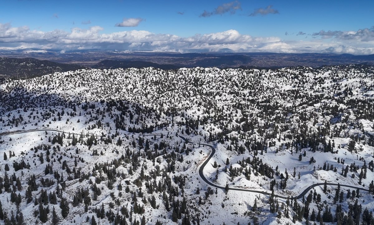 Mersin’de karla kaplanan ormanlık alandan kartpotallık görüntüler
